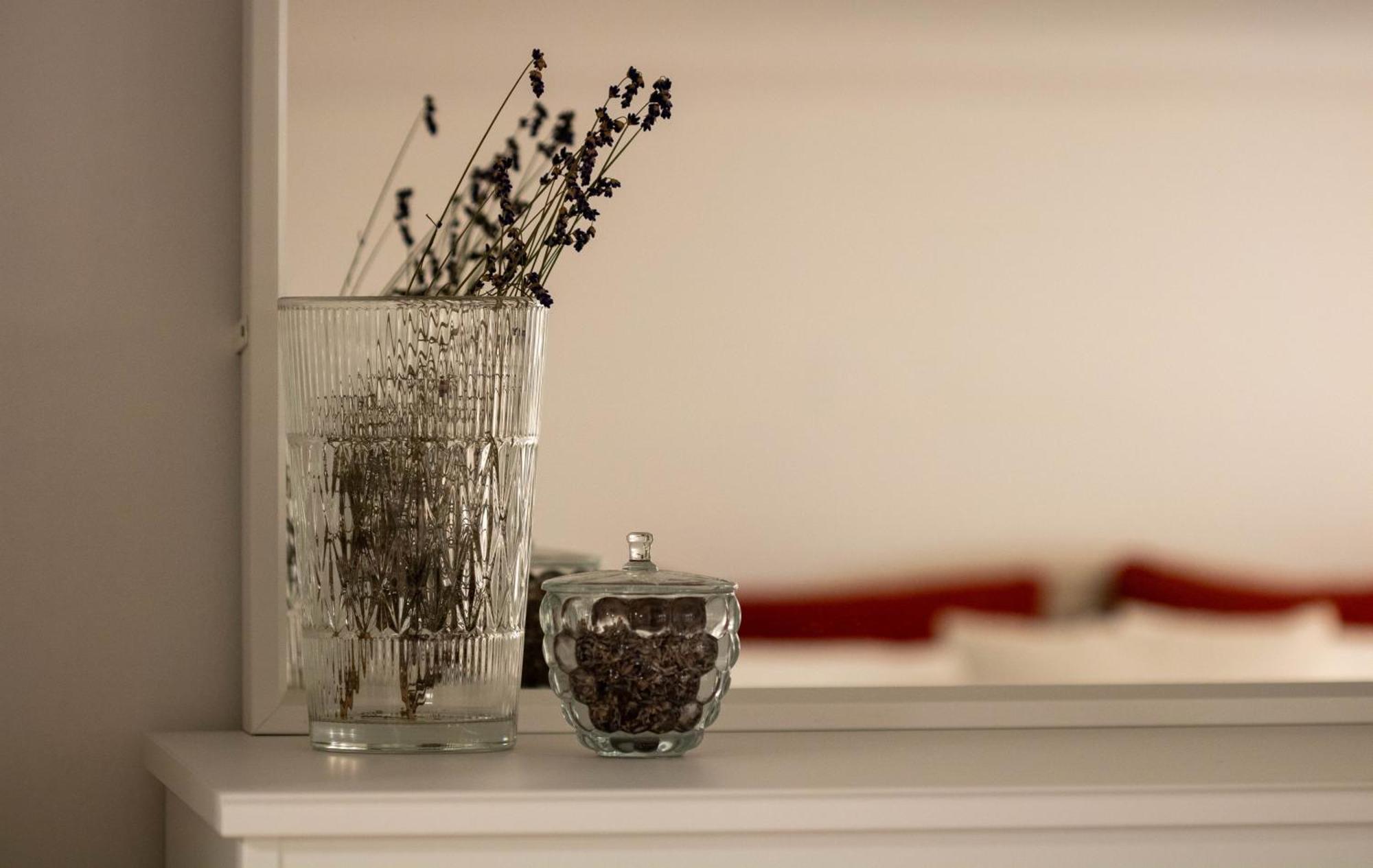Jane'S Place, Experience The Atmosphere Of A Historic Villa & Free Parking Liubliana Exterior foto